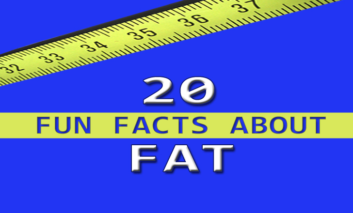 20 Fun Facts Fat bloghdr